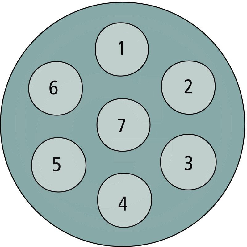 Hella Plug, white, 7-pin | zdjęcie nr 2